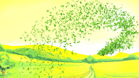 春天小清新片头片尾