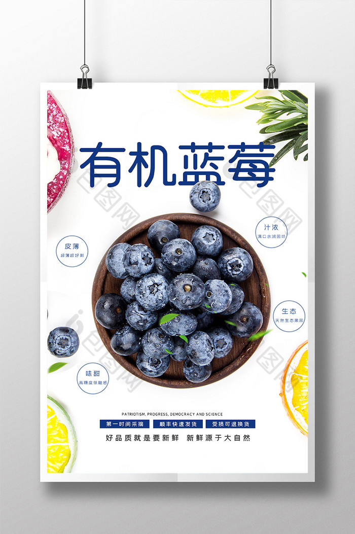 有机蓝莓新鲜时令水果图片图片
