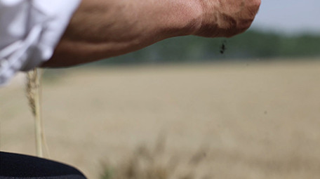 实拍农民田间流汗擦汗抓起一把黄土