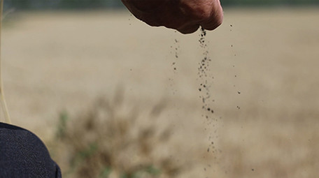 实拍农民田间流汗擦汗抓起一把黄土