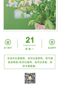 小清新咖啡杯绿植简约风创意日签手机海报