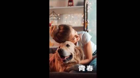 简洁时尚现代图文展示快闪宣传AE模板