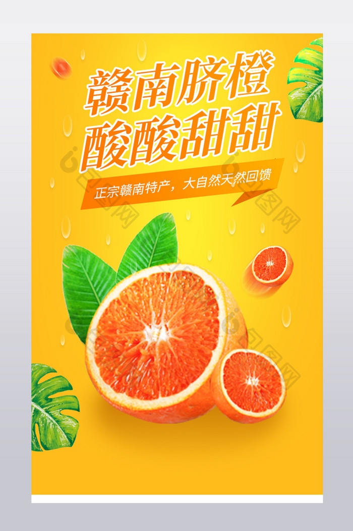 水果脐橙营养美味季节新品营养健康食品图片图片
