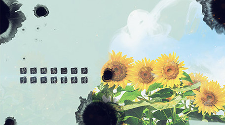 中国风水墨图文展示PR模板