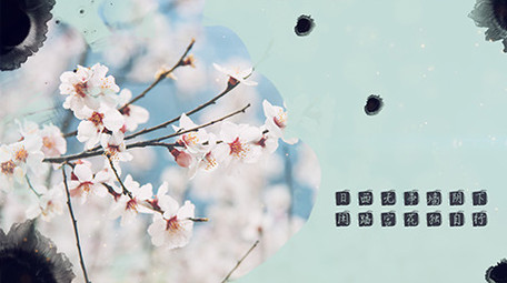 中国风水墨图文展示PR模板