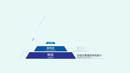 简洁干净科技金字塔结构图