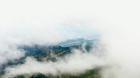 4K航拍四川米仓山脉云雾缭绕大山森林