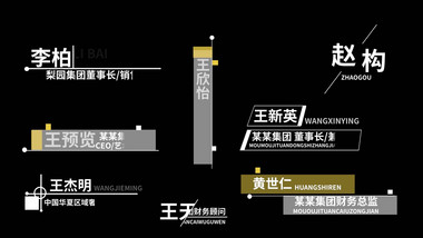 简约风企业宣传人物介绍字幕条pr模板