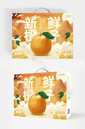 简约大气图形插画新鲜橙子食品礼盒包装设计图片