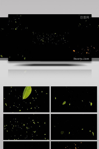 5组特效树叶飘落唯美粒子视频素材图片