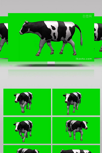 绿色抠像大奶牛动物展示合成素材图片
