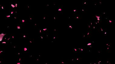 浪漫粉红色花瓣飞舞带通道特效元素