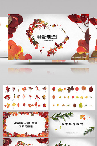 唯美秋天落叶主题的动画元素素材包AE模板图片