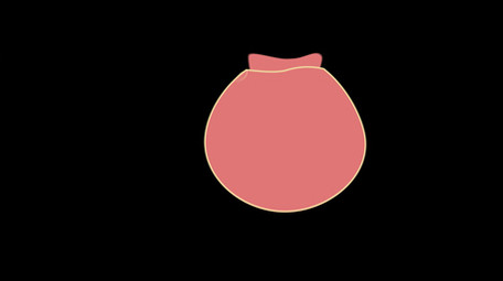 简约扁平画风对称构图香囊MG动画