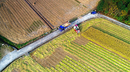 航拍农村稻田水稻机械收割