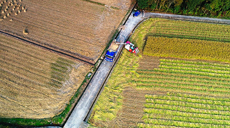 航拍农村稻田水稻机械收割