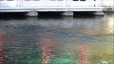 4k济南5A级景区趵突泉泉眼水波波光粼粼