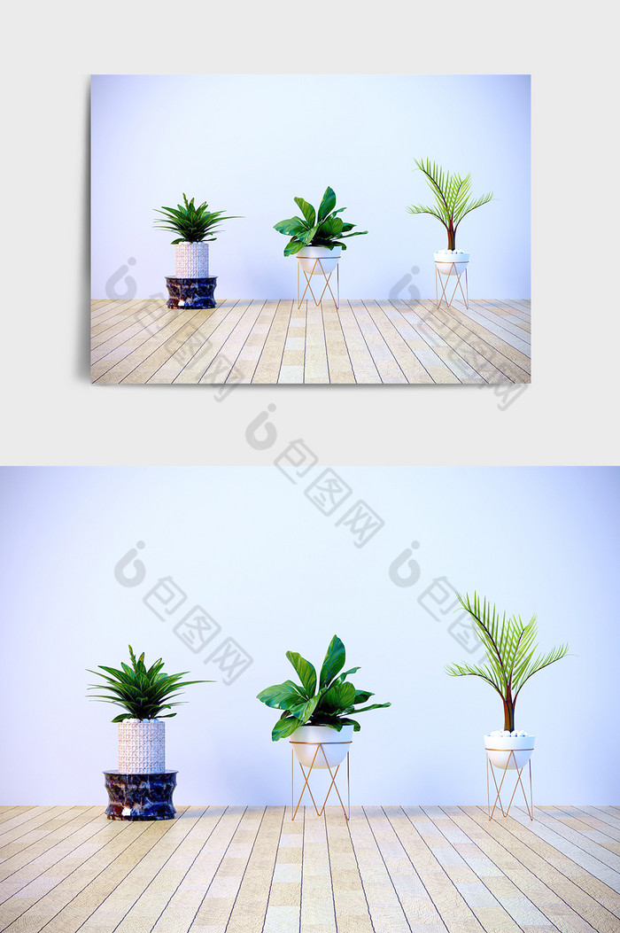 C4D盆栽模型绿植模型多肉植物场景效果图图片图片