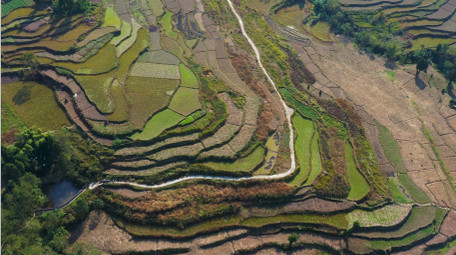 4K航拍乡村梯田田土地农业实拍视频