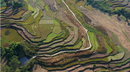 4K航拍乡村梯田田土地农业实拍视频
