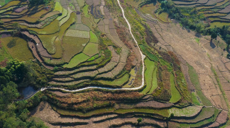 4K航拍乡村梯田田土地农业实拍视频