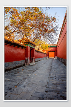 【北京景山公园故宫全景】图片下载-包图网