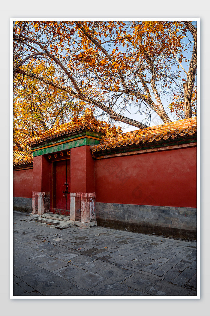 北京故宫红墙的秋色