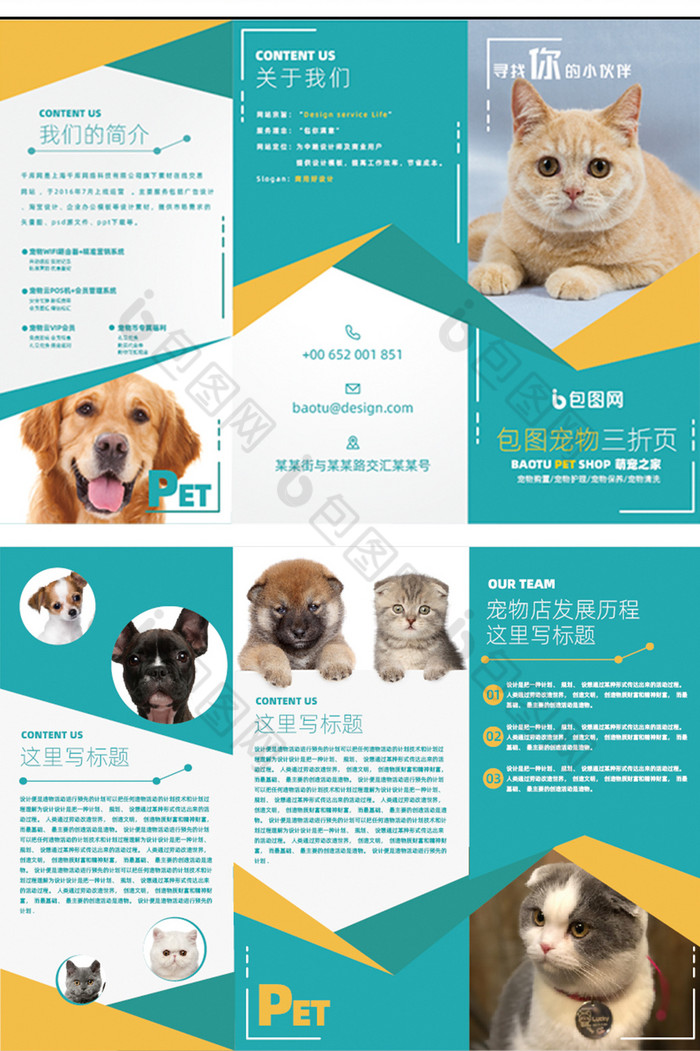 简约时尚大气宠物店宣传三折页