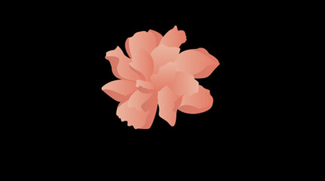 简约扁平画风古代饰品类簪花MG动画