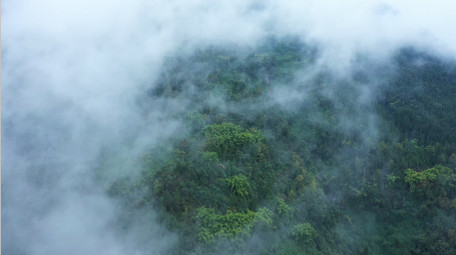4K航拍绿色生态山间森林云雾缭绕视频素材