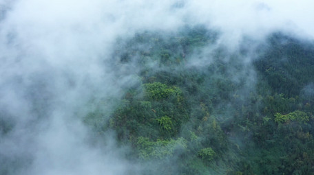 4K航拍绿色生态山间森林云雾缭绕视频素材