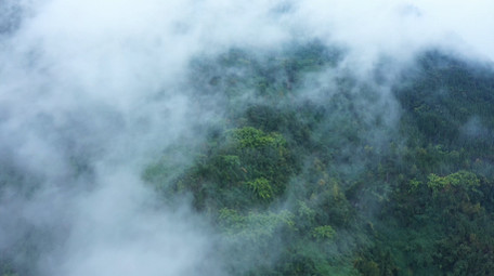 4K航拍绿色生态山间森林云雾缭绕视频素材