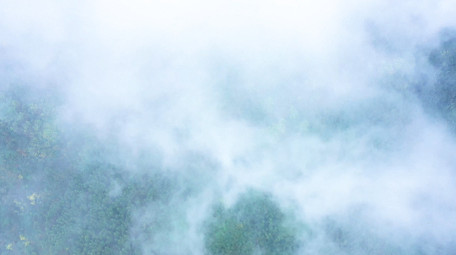 4K航拍森林树木云雾缭绕视频素材