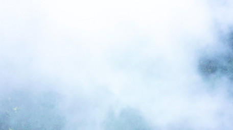 4K航拍森林树木云雾缭绕视频素材