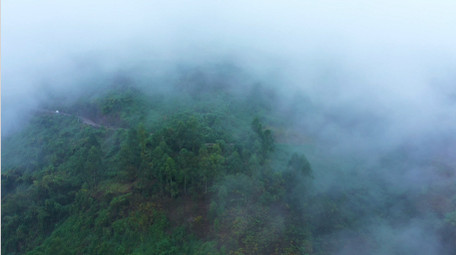 4K航拍迷雾大山<strong>乡村</strong>公路农村森林视频素材