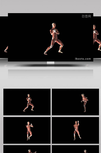 人体肌肉人物展示合成视频图片