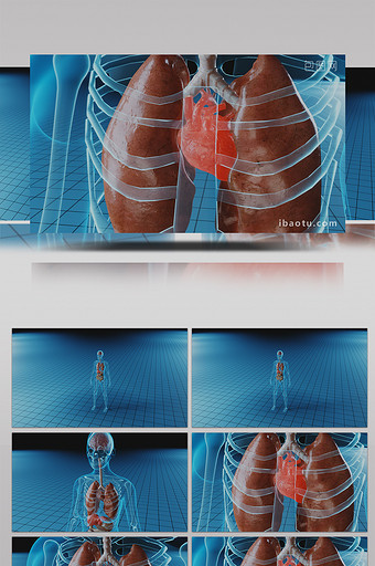 三维人体心脏跳动高清背景视频图片