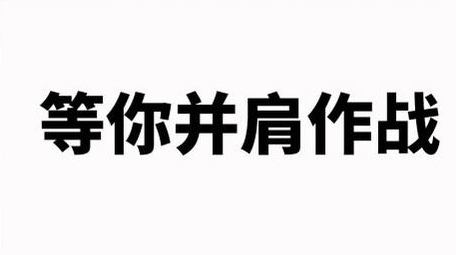 企业招聘<strong>快闪</strong>宣传展示pr模板