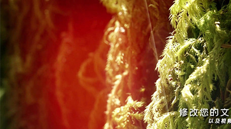 电影风格玻璃屏幕大自然转场图文展示PR模