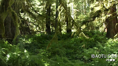 电影风格玻璃屏幕大自然转场图文展示PR模