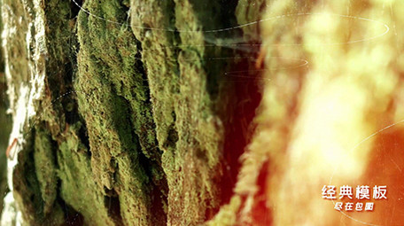 电影风格玻璃屏幕大自然转场图文展示PR模