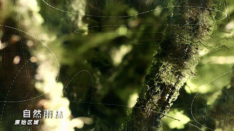 电影风格玻璃屏幕大自然转场图文展示PR模