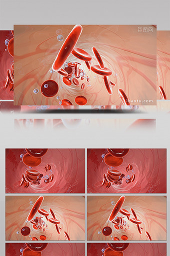 医疗医学三维血管高清背景视频图片