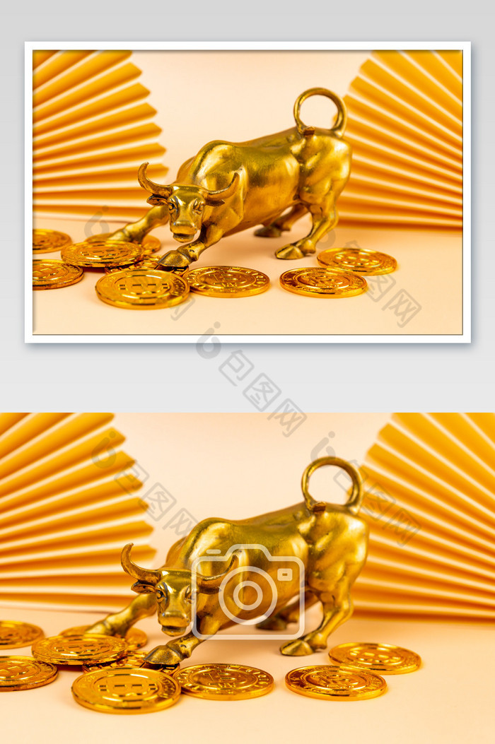 金牛金币金融货币2021