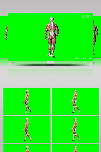 抠像视频人体肌肉男子行走合成素材图片