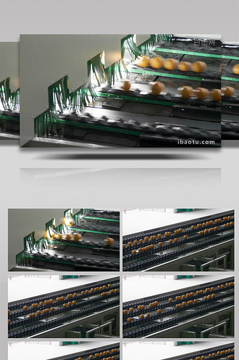 4K实拍橙子加工生产车间机械化传送带视频图片