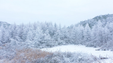 4K航拍唯美雪景松树白雪弥漫银装素裹雪山