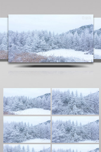 4K航拍唯美雪景松树白雪弥漫银装素裹雪山图片