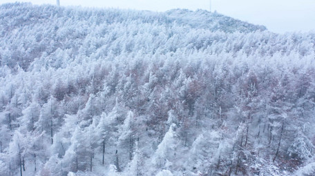 4K航拍冬季旅游大气雪山森林千里冰封雪景