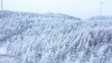 4K航拍冬季旅游大气雪山森林千里冰封雪景